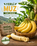 Yerli muz