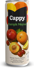 Cappy karışık meyve 330 ml