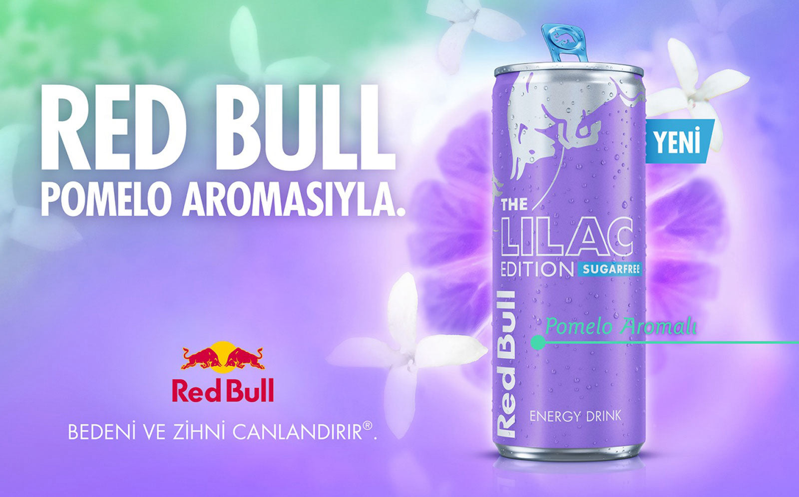 RedBull Pomelo Aromalı 250ml