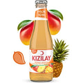 Kızılay Mango Ananas 200ml