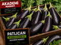 Patlıcan