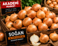Soğan