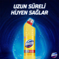 Domestos Limon