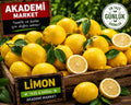 Limon