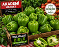 Dolmalık biber