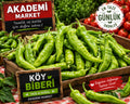 Köy biber